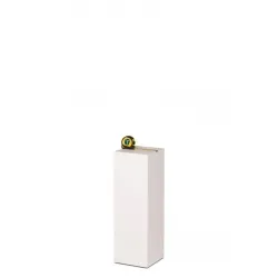 MDF witte sokkels | plantenzuilen | zuilen wit MDF zijdeglans