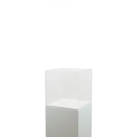Plexiglas beschermkap | plexiglas stolp | maquettekap op maat