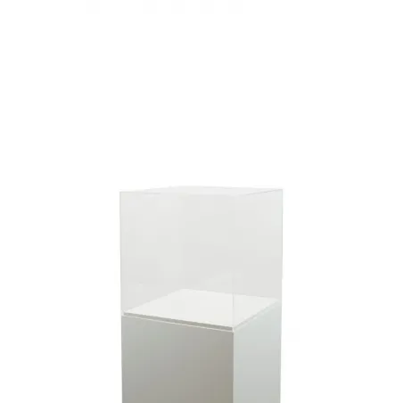 Plexiglas beschermkap | plexiglas stolp | maquettekap op maat