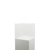 Plexiglas beschermkap | plexiglas stolp | maquettekap op maat