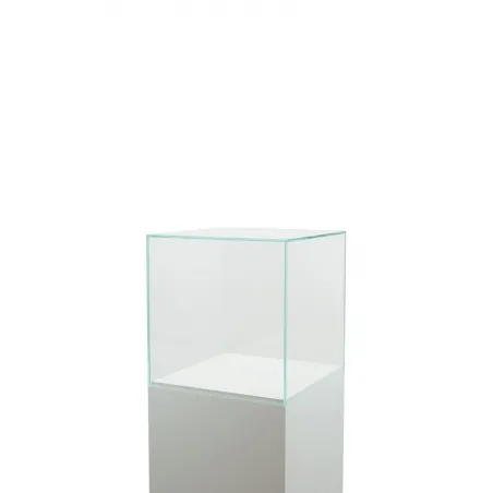 Montre af glas