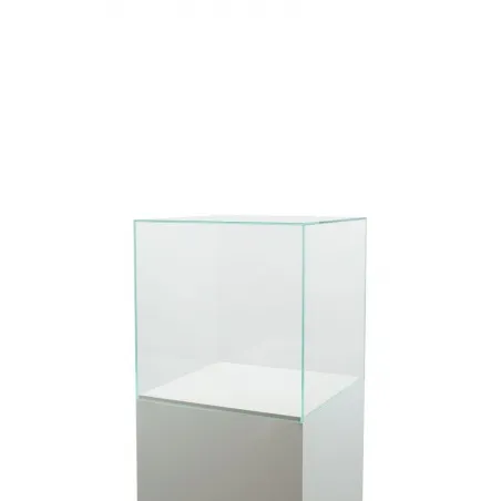 Glazen beschermkap | glazen stolp voor op sokkel | museumvitrine