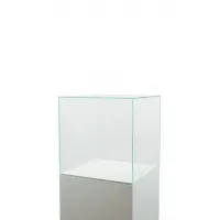 Glazen beschermkap | glazen stolp voor op sokkel | museumvitrine