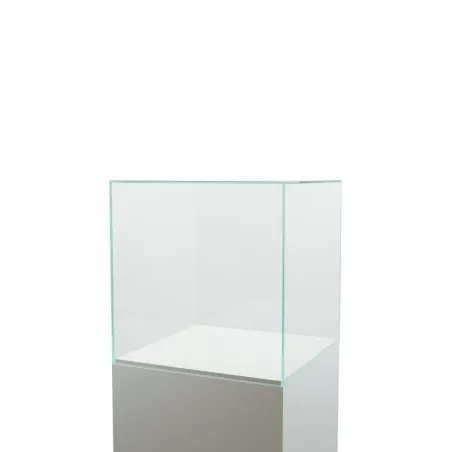 Montre af glas