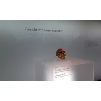 Podie af plexiglas
