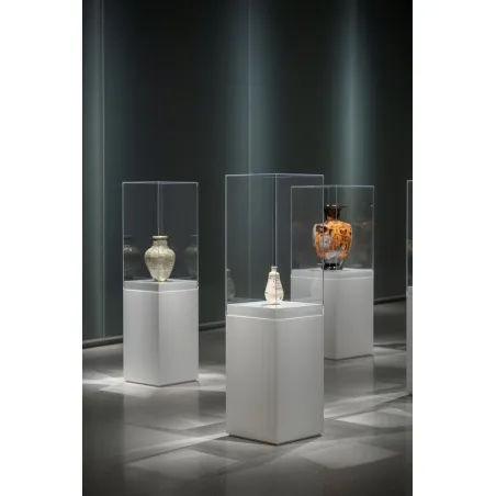 Plexiglas beschermkap | plexiglas stolp | maquettekap op maat