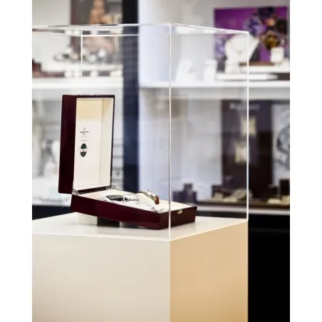 Plexiglas beschermkap | plexiglas stolp | maquettekap op maat