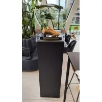 Plexiglas beschermkap | plexiglas stolp | maquettekap op maat