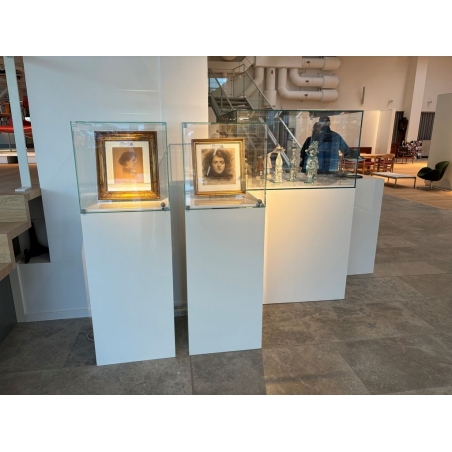 Glasmontre med dør