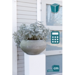 Solits podie udendørs - hvidt