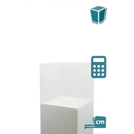 Plexiglas beschermkap | plexiglas stolp | maquettekap op maat