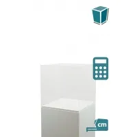 Plexiglas beschermkap | plexiglas stolp | maquettekap op maat