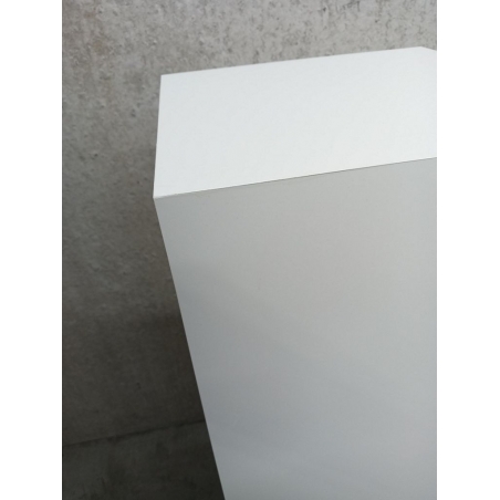 copy of Plexiglas Beschermkap 46 x 46 x 45,5 cm- SALE