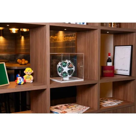 Plexiglas beschermkap | plexiglas stolp | maquettekap op maat