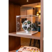 Plexiglas beschermkap | plexiglas stolp | maquettekap op maat