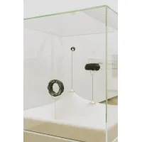 Glazen beschermkap | glazen stolp voor op sokkel | museumvitrine