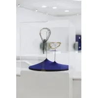 Plexiglas beschermkap | plexiglas stolp | maquettekap op maat