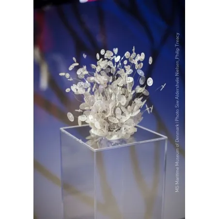 Podie af plexiglas