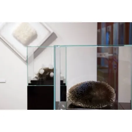 Montre af glas