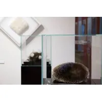 Montre af glas